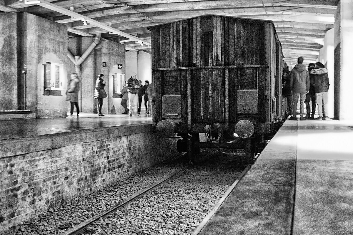 Viaggio della Memoria a Milano con Auser San Martino