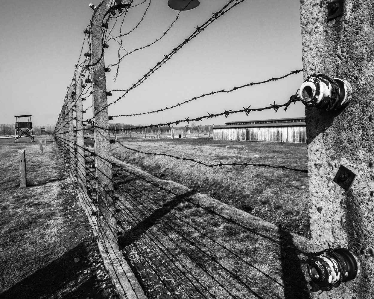 In mostra ad Albinea in sala civica le fotografie dei campi di prigionia di James Bragazzi